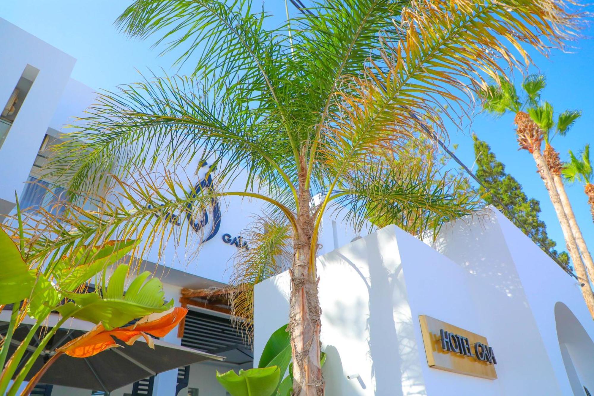 نزل قايا Hotel Gaia Nabeul Exteriör bild